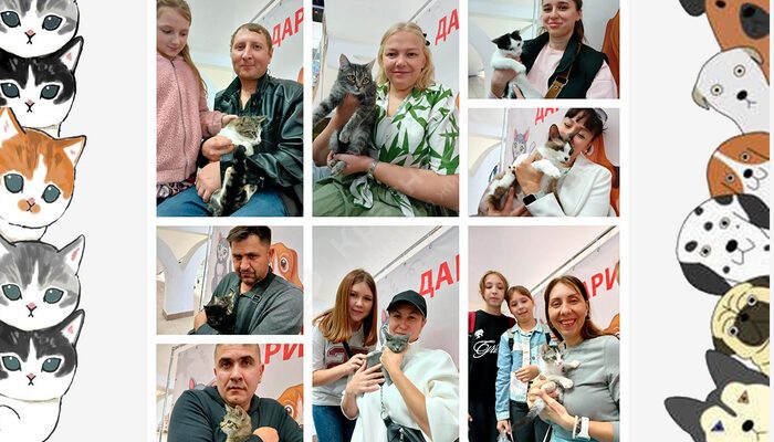 Спешим поделиться итогами выставки в Мегацентре 